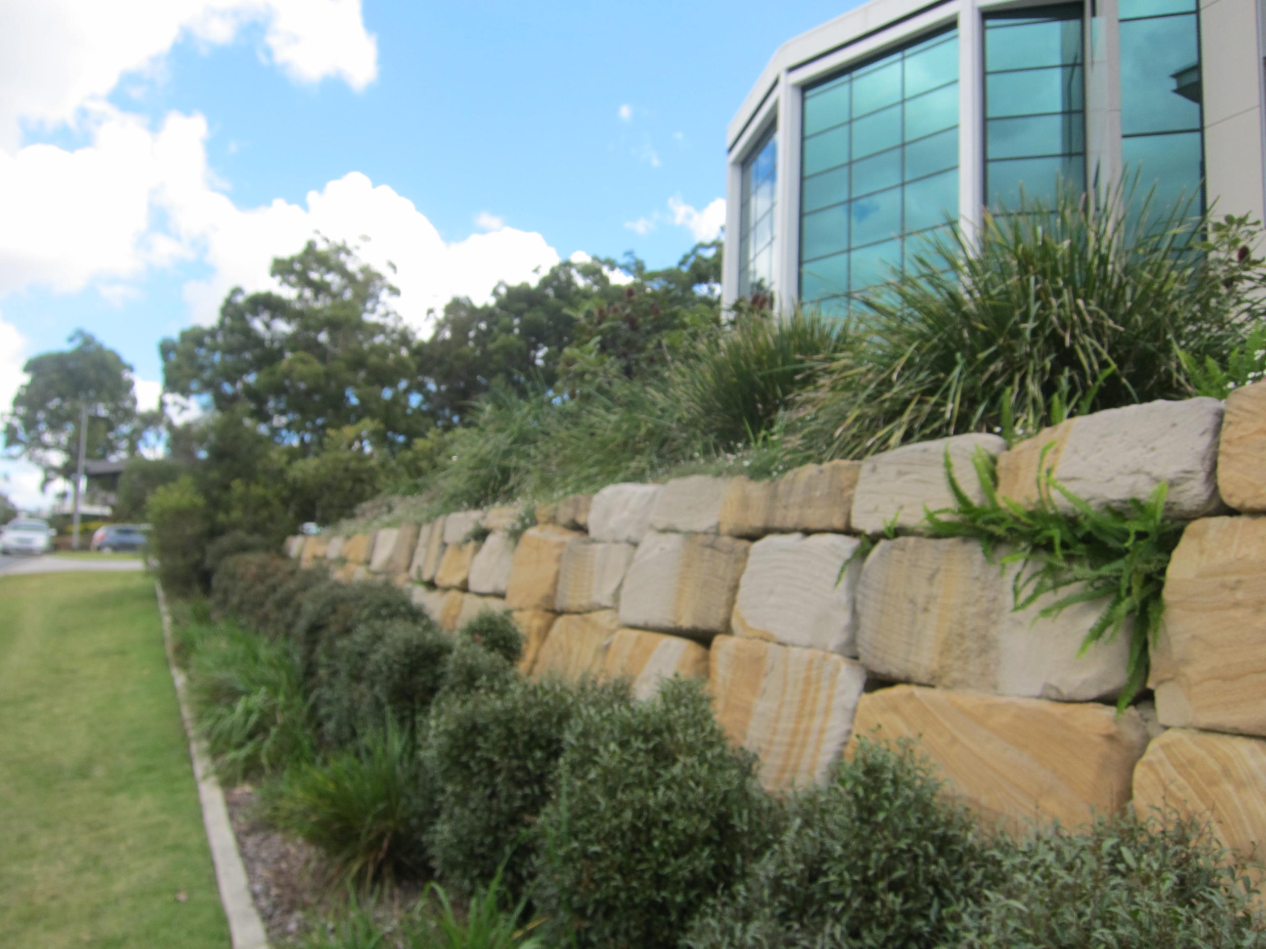 Landscaping Brisbane (42)